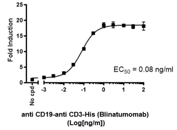 IL-2 Jurkat: CD19<sup>+</sup> Raji細胞の存在下でのCD19xCD3 BiTEによるJurkatレポーターの活性化