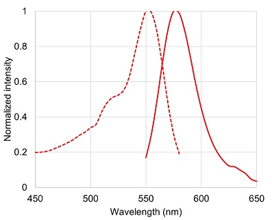 PBS中におけるAcroleinREDの吸収スペクトル（点線）と蛍光スペクトル（実線）