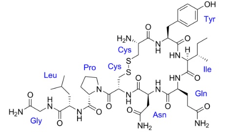 オキシトシン（Oxytocin）の化学構造式