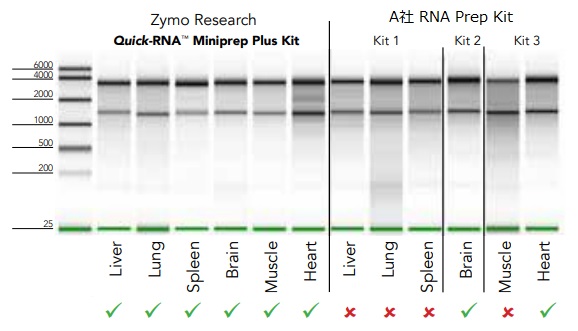 Quick-RNA MiniPrep Plus Kitよるさまざまな試料からのRNAの単離・精製例