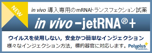 in vivo-jetRNA+へのリンクバナー