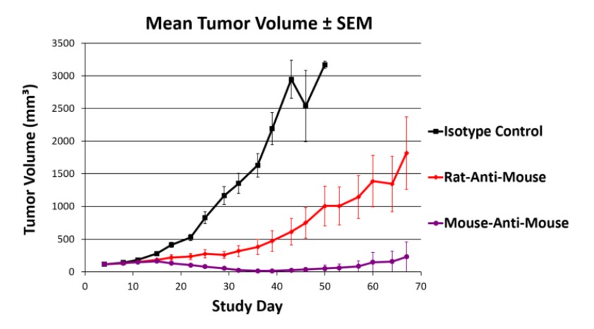 腫瘍サイズの変化の比較