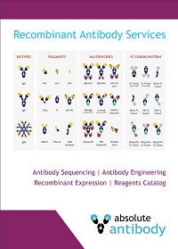 Recombinant Antibody Services brochure
