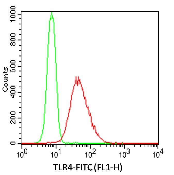 抗TLR4 抗体