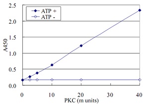 抗リン酸化抗体を用いたPKC活性の測定例