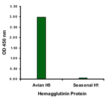 Influenza A virus Hemagglutinin H5 monoclonal antibody ELISA