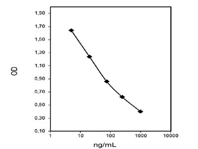 NorepinephrineN ELISAキットの標準曲線