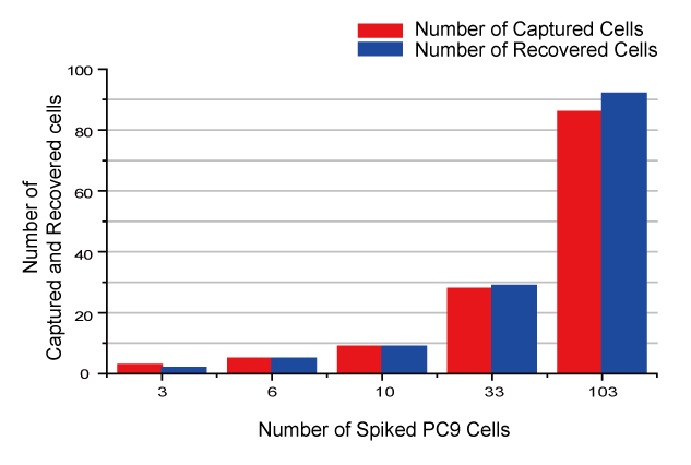 PC9細胞