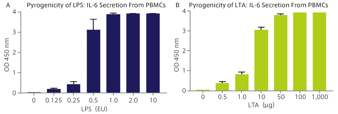 初代PBMCからIL-6の分泌