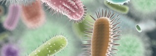 Microbiome Standards