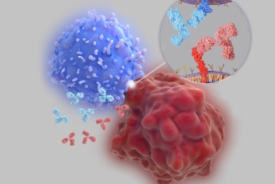 免疫チェックポイントレポーター細胞ウェビナー