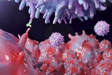 免疫チェックポイントレポーター細胞ウェビナー