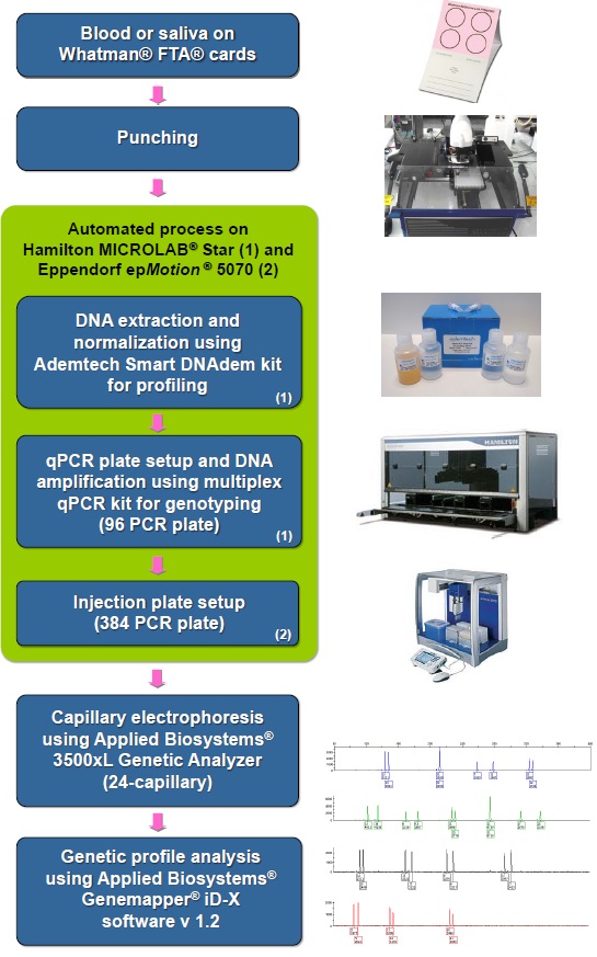 磁気ビーズを用いたFTAカードまたはスワブ用高品質DNA分離キット　Smart D-N-Adem-kit for Profiling