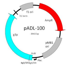pADL-100 Phagemid Vector