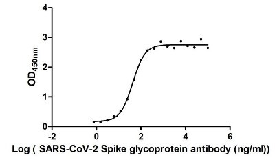 Functional ELISAによる結合能の解析（Human Novel Coronavirus Spike glycoprotein (S)）