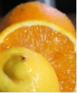 Citrus画像