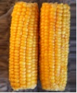 Maize画像