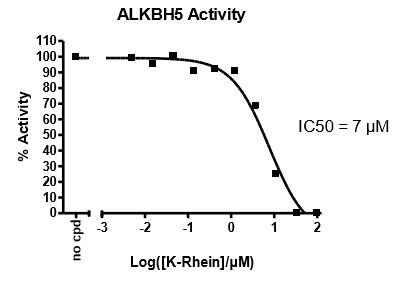 ALKBH5 Chemiluminescent Assay Kit