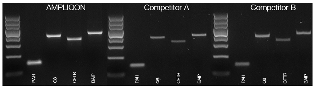 他社のTaq DNAポリメラーゼマスターミックスとの比較・評価結果画像