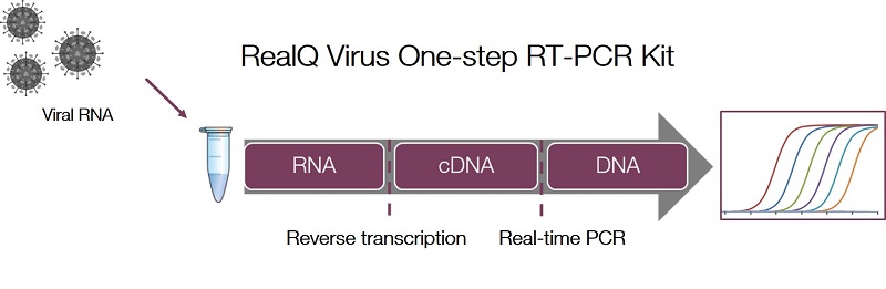 RealQ Virus One-step RT-PCR Kit