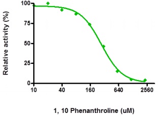 1,10-phenanthrolineの阻害活性