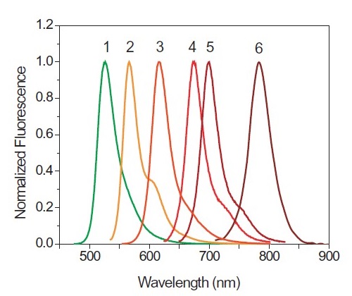 HiLyte Fluor 色素の蛍光スペクトル