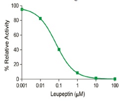 マトリプターゼ活性の阻害曲線