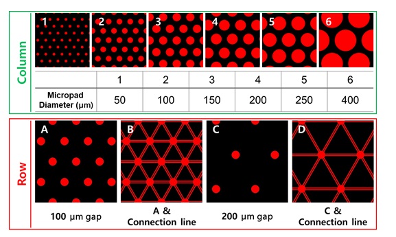 Micropadのパターン（T-001）粒径表