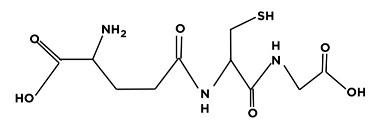 グルタチオン（Glutathione）の化学構造式