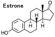 K031 Estrone構造式