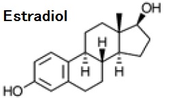 K030 17β-Estradiol構造式