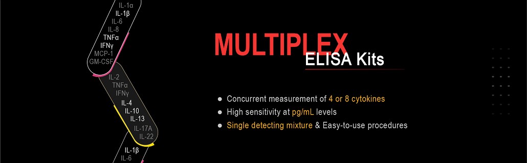 Multiplex ELISA Kitのイメージ