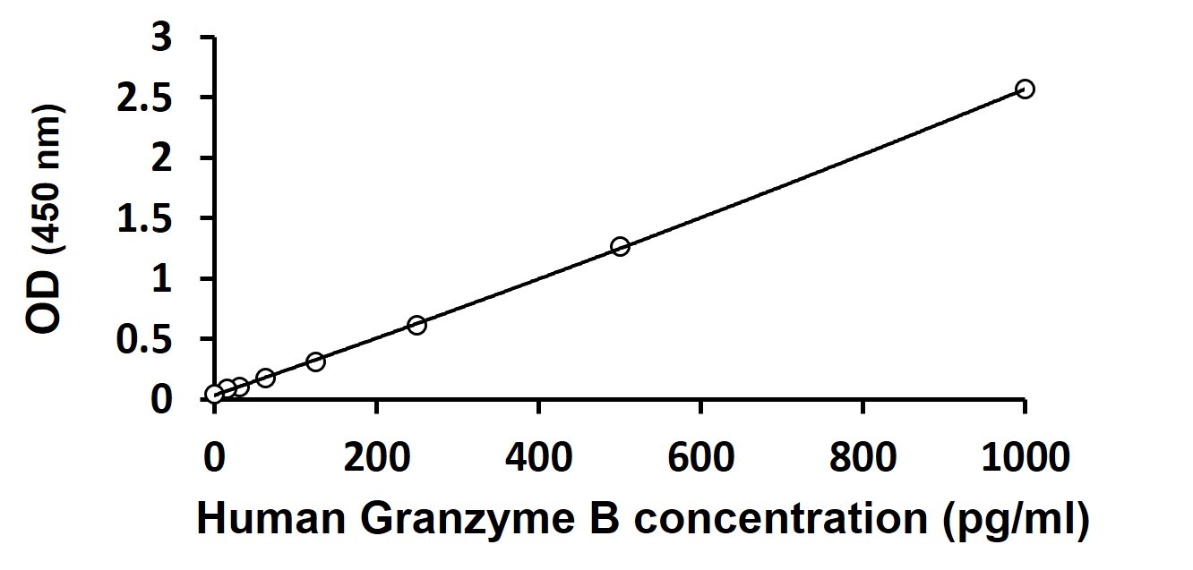 Human Granzyme B ELISA Kit（#ARG80171）の標準曲線例