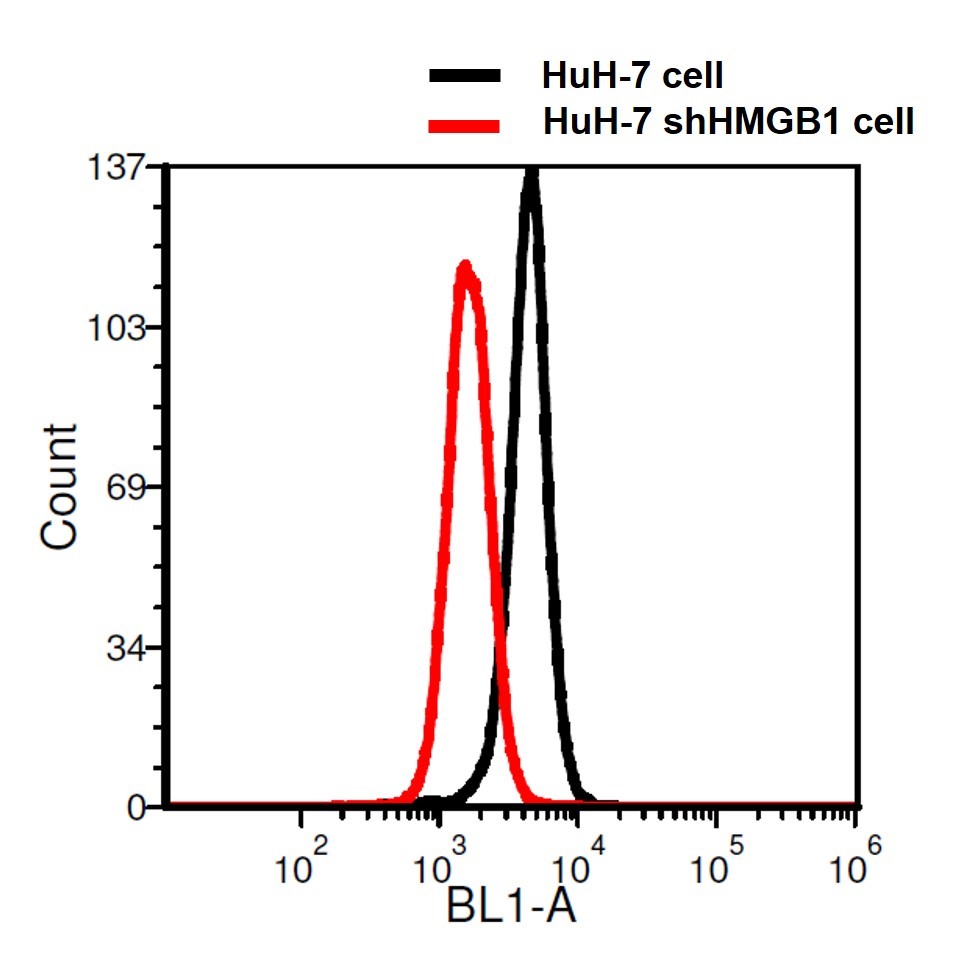抗HMGB1抗体 [SQab1711]（#ARG65863）を用いたフローサイトメトリー（FCM）解析結果