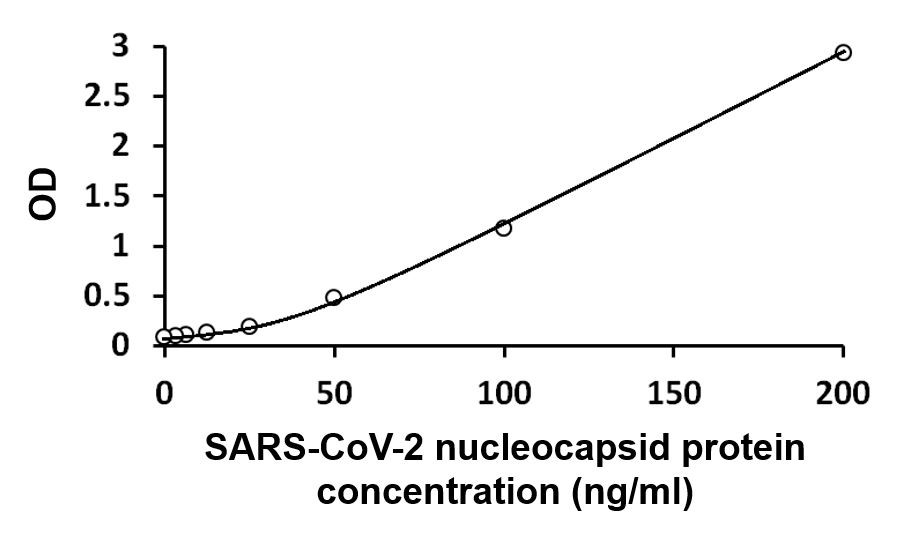 SARS-CoV-2 nucleocapsid protein ELISA Kit（#ARG82688）の標準曲線例