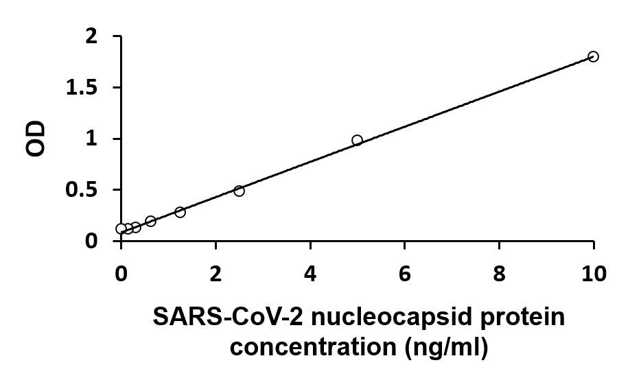 SARS-CoV-2 nucleocapsid protein ELISA Kit（#ARG82823）の標準曲線例