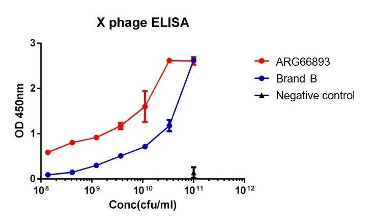 Direct ELISAによるHRP標識 抗M13 g8pマウスモノクローナル抗体（クローン：SQab21250）（#ARG66893）と他社製品との比較