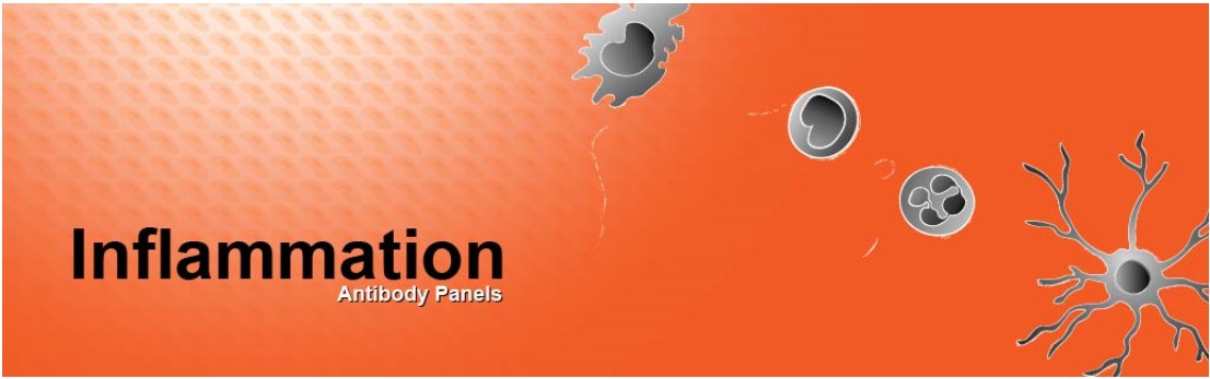 Inflammation Antibody Panelのイメージ