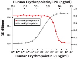 組換え体Erythropoietin Rを用いたTF-1ヒト赤白血病細胞の細胞増殖阻害アッセイ