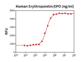 組換え体Erythropoietinを用いたTF-1ヒト赤白血病細胞の細胞増殖アッセイ