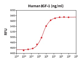 組換え体IGF-1を用いたMCF-7ヒト乳がん細胞の細胞増殖アッセイ