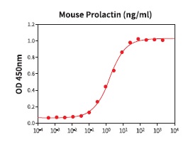 組換え体Prolactinを用いたNb2-11ラットリンパ腫細胞の細胞増殖アッセイ