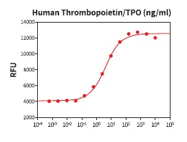 組換え体Thrombopoietinを用いたMO7eヒト巨核球白血病細胞の細胞増殖アッセイ