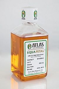  EquaFETALボトル