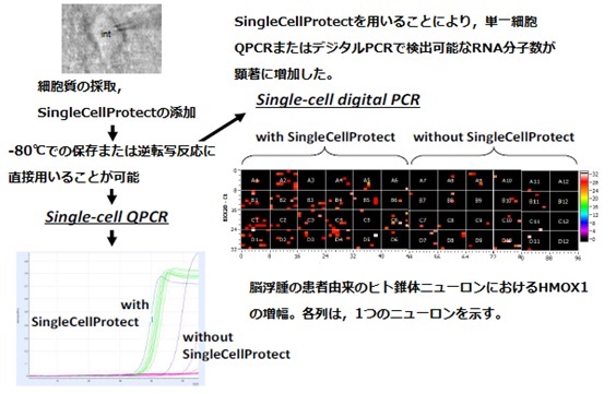 SingleCellProtect操作法概略