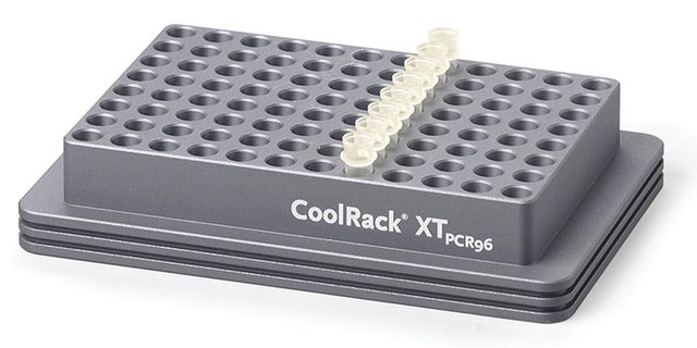 CoolRack XT PCR96
