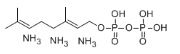 Geranyl pyrophosphateammonium saltの構造式