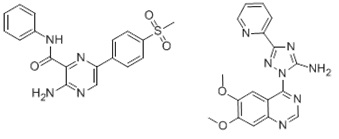 多く使用されているDNA損傷チェックポイント阻害物質。左図：VE 821（ATR阻害物質 # AXON1893）と、右図：CP 466722（ATM阻害物質 # AXON1495）の構造式。
