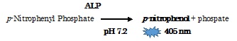 pNPP Phosphatase Assay Kitの測定原理