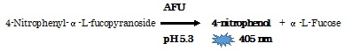 QuantiChrom α-L-Fucosidase Assay Kitの測定原理